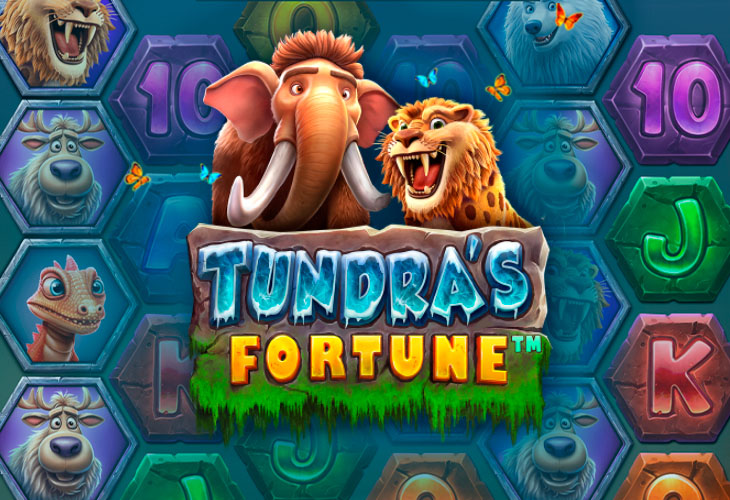 Tundra’s Fortune